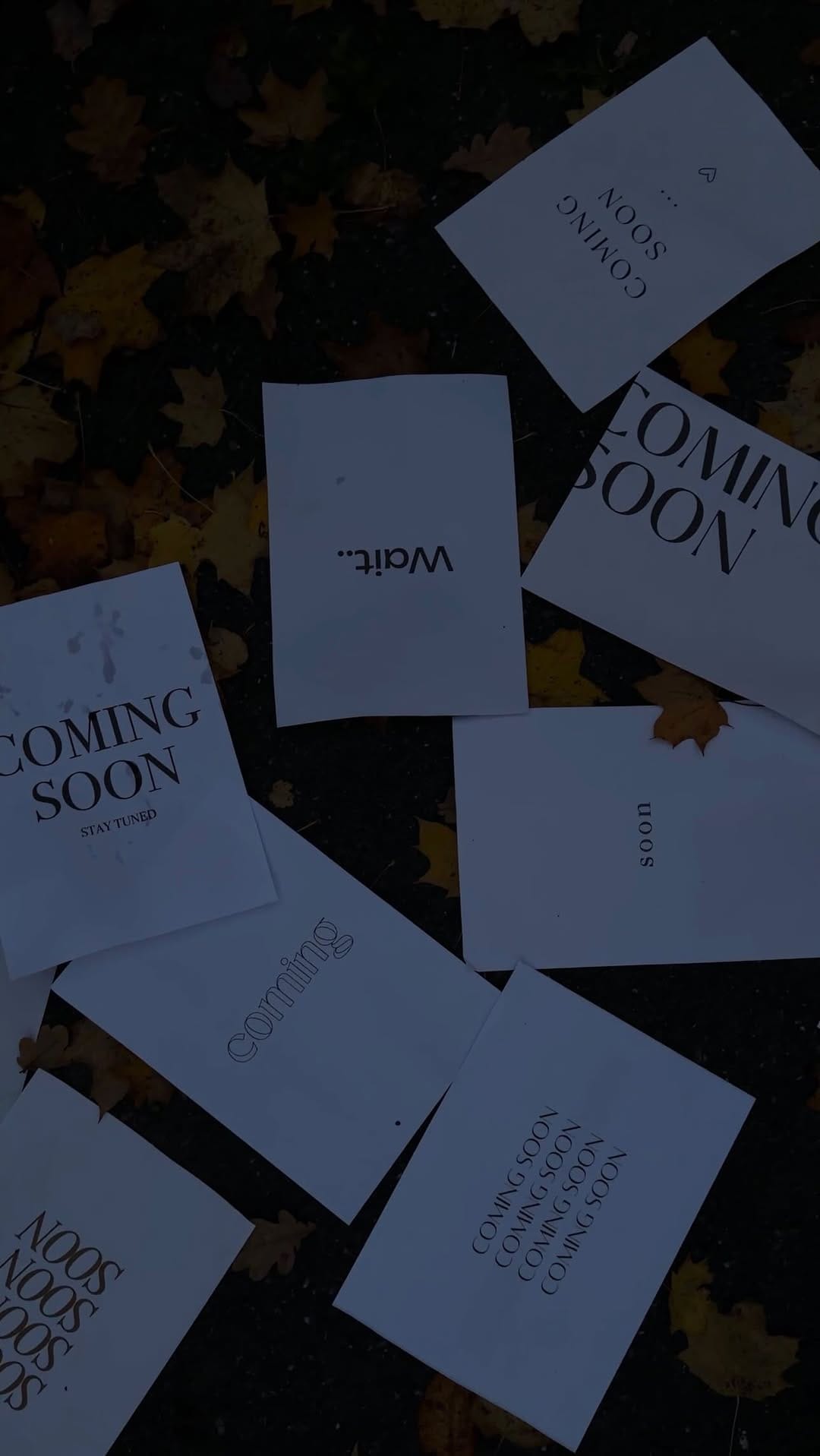 Post 10 by 𝐃 | 𝐊 𝐁𝐄𝐀𝐔𝐓𝐘 𝐒𝐓𝐔𝐃𝐈𝐎 | 𝐃𝐈𝐀𝐍𝐀 on Instagram (video)