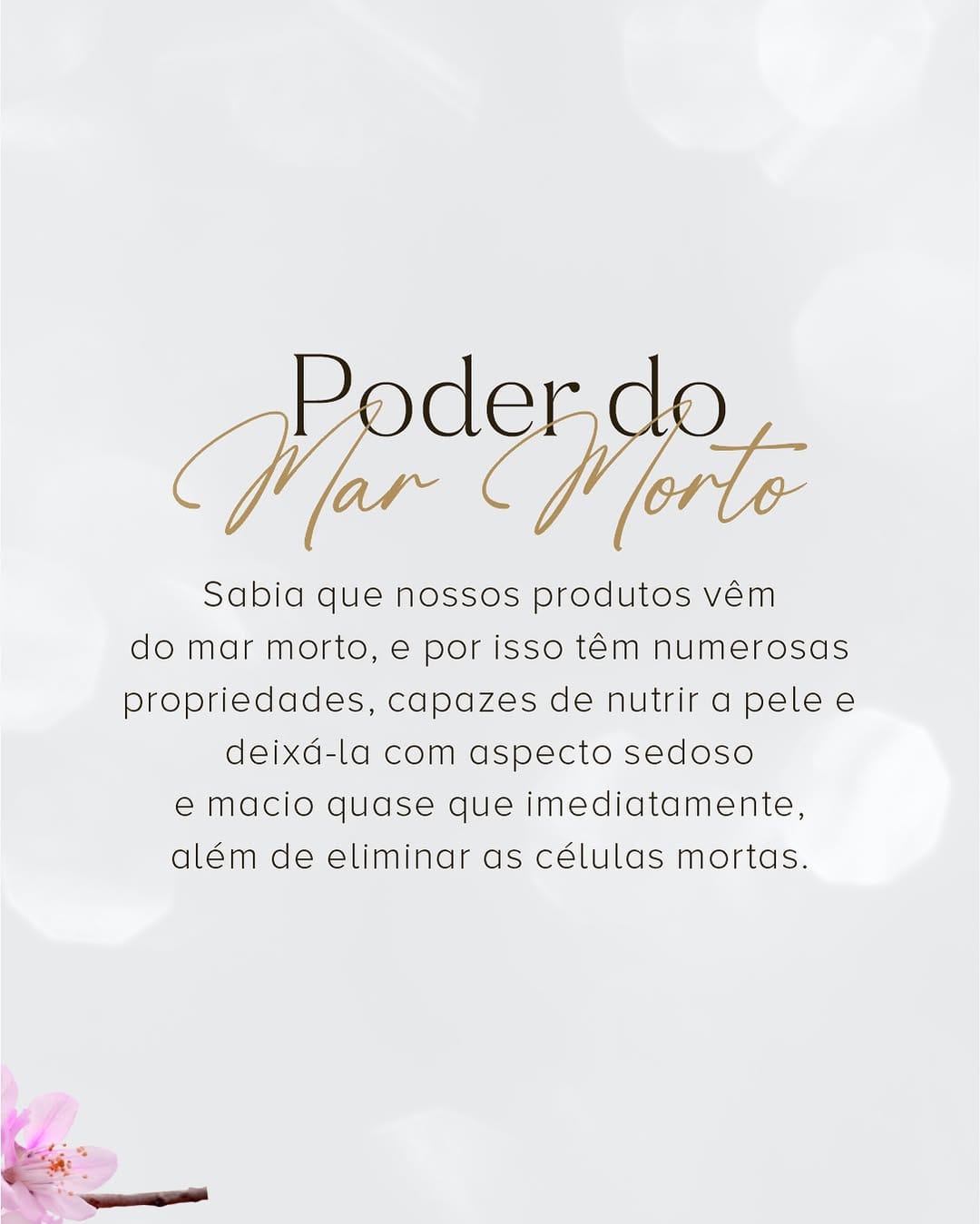 Post 9 by Premier Cosméticos Brasil on Instagram (carousel)