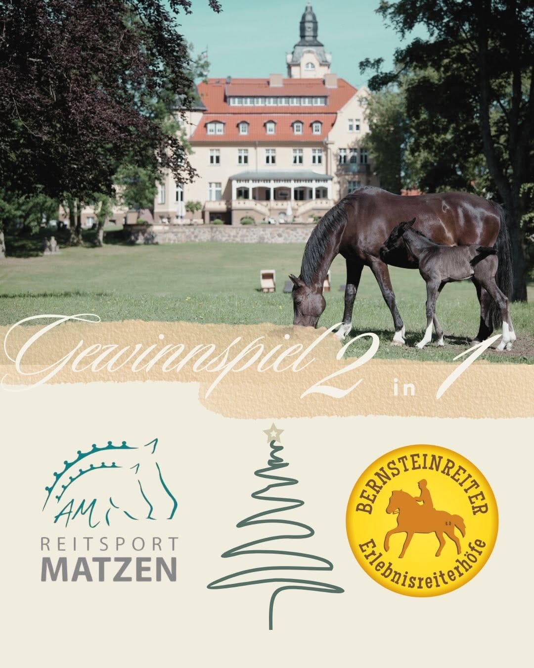 Post 1 by Reitsport Matzen on Instagram (carousel)