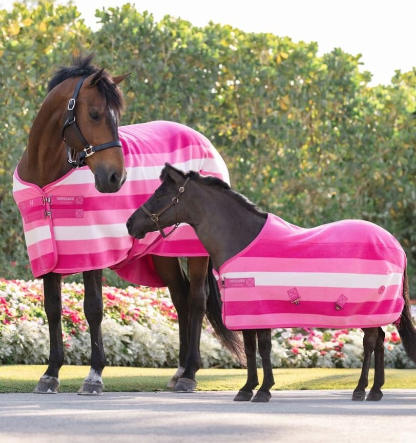 Post 2 by Equine Essentials on Instagram (image)