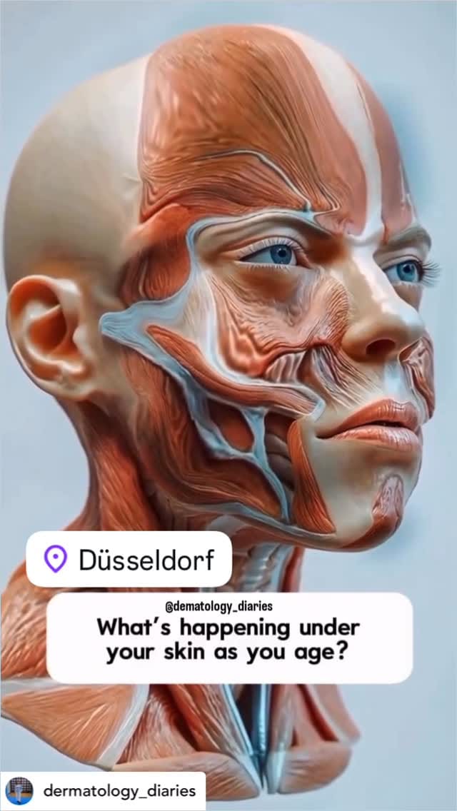 Post 1 by DrLipp on Instagram (video)