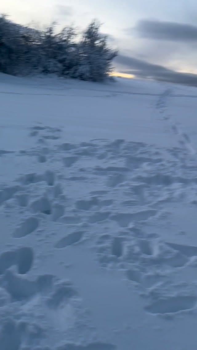 Post 2 by ᴀᴍᴇʀ ᴍᴀʜᴀɴʏ on Instagram (video)