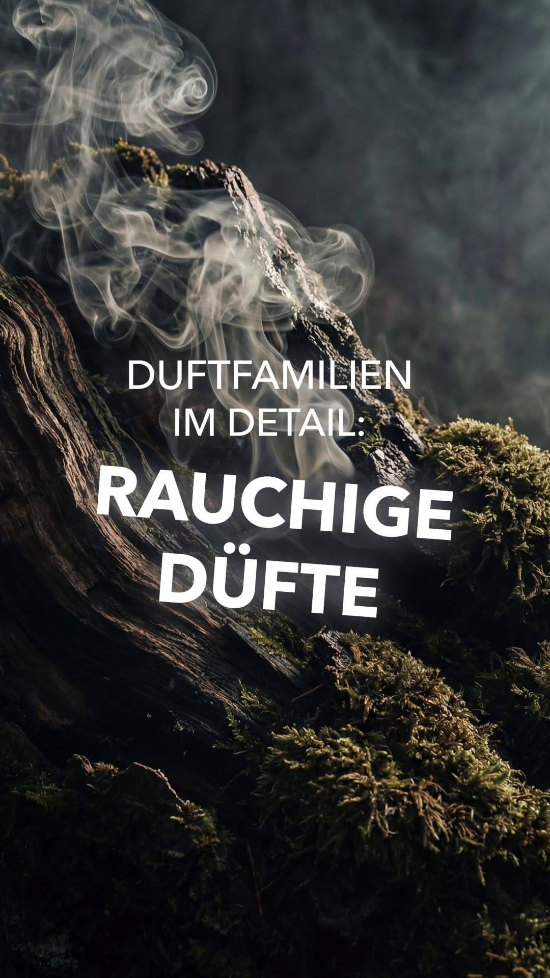 Post 8 by Edith Lücke | Pᴀʀғᴜᴍᴇʀɪᴇ on Instagram (video)