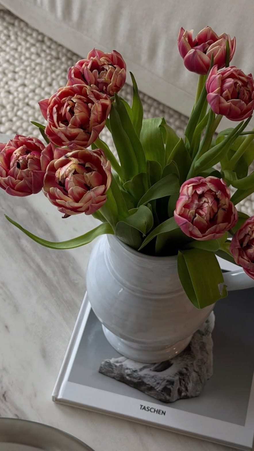 Post 6 by ᑕhristine Wild ( eggert ) on Instagram (video)