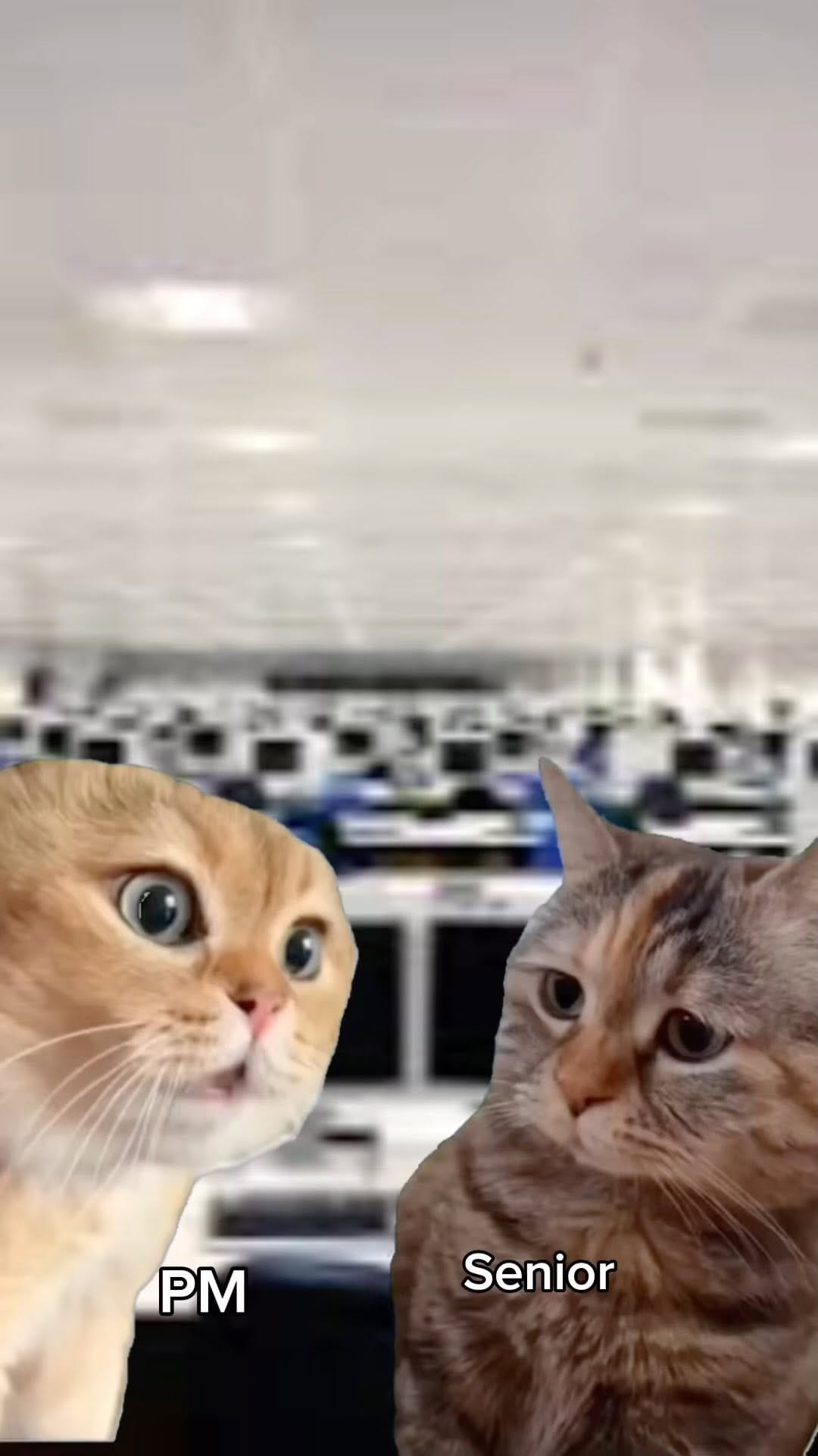 Post 8 by Viki | Coding, Tech & Fun on Instagram (video)