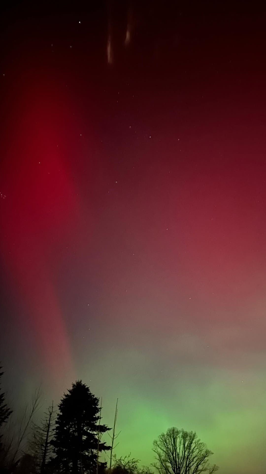 Post 2 by Sarah Patricia Gill on Instagram (video)