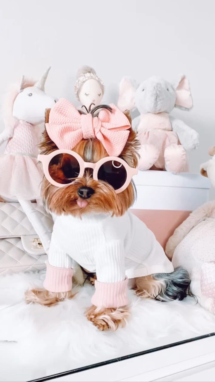 Post 8 by Cielo 🐾 on Instagram (video)