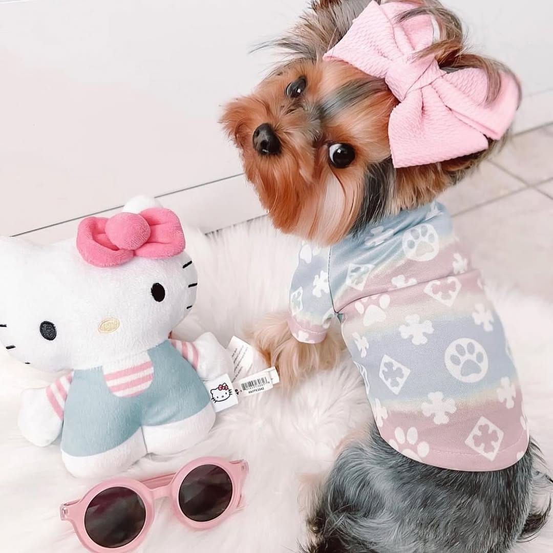 Post 1 by Cielo 🐾 on Instagram (image)