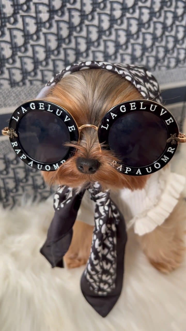 Post 9 by Cielo 🐾 on Instagram (video)