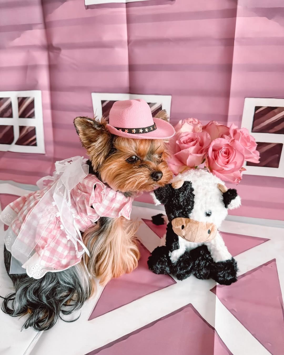 Post 4 by Cielo 🐾 on Instagram (carousel)
