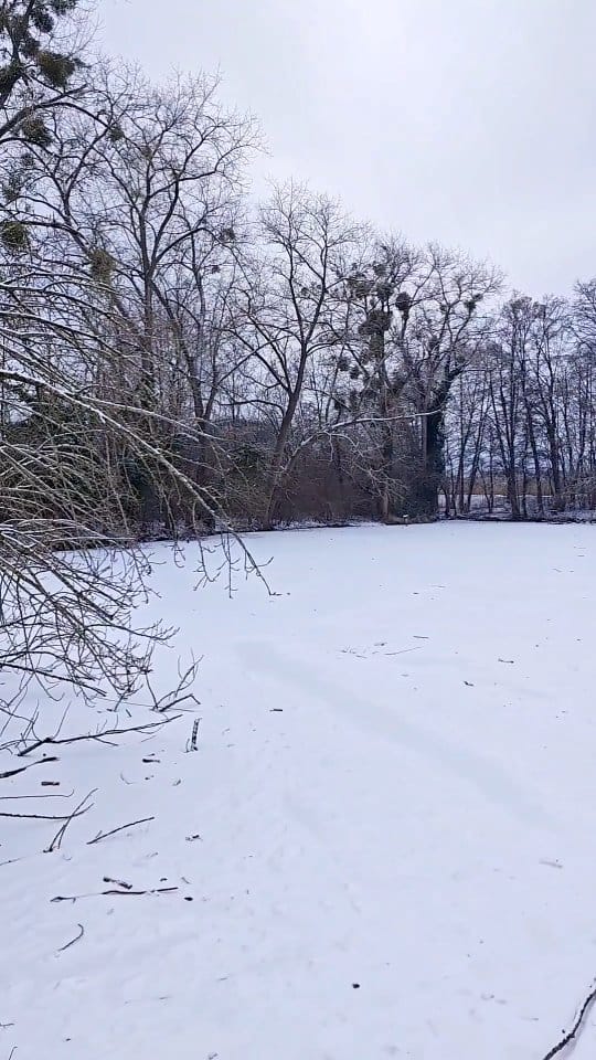 Post 3 by Frank Haisch on Instagram (video)