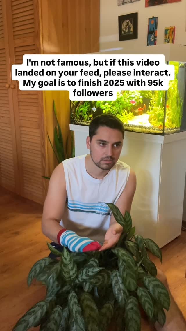 Post 9 by Ivan Ilic | Houseplants 🌱 on Instagram (video)