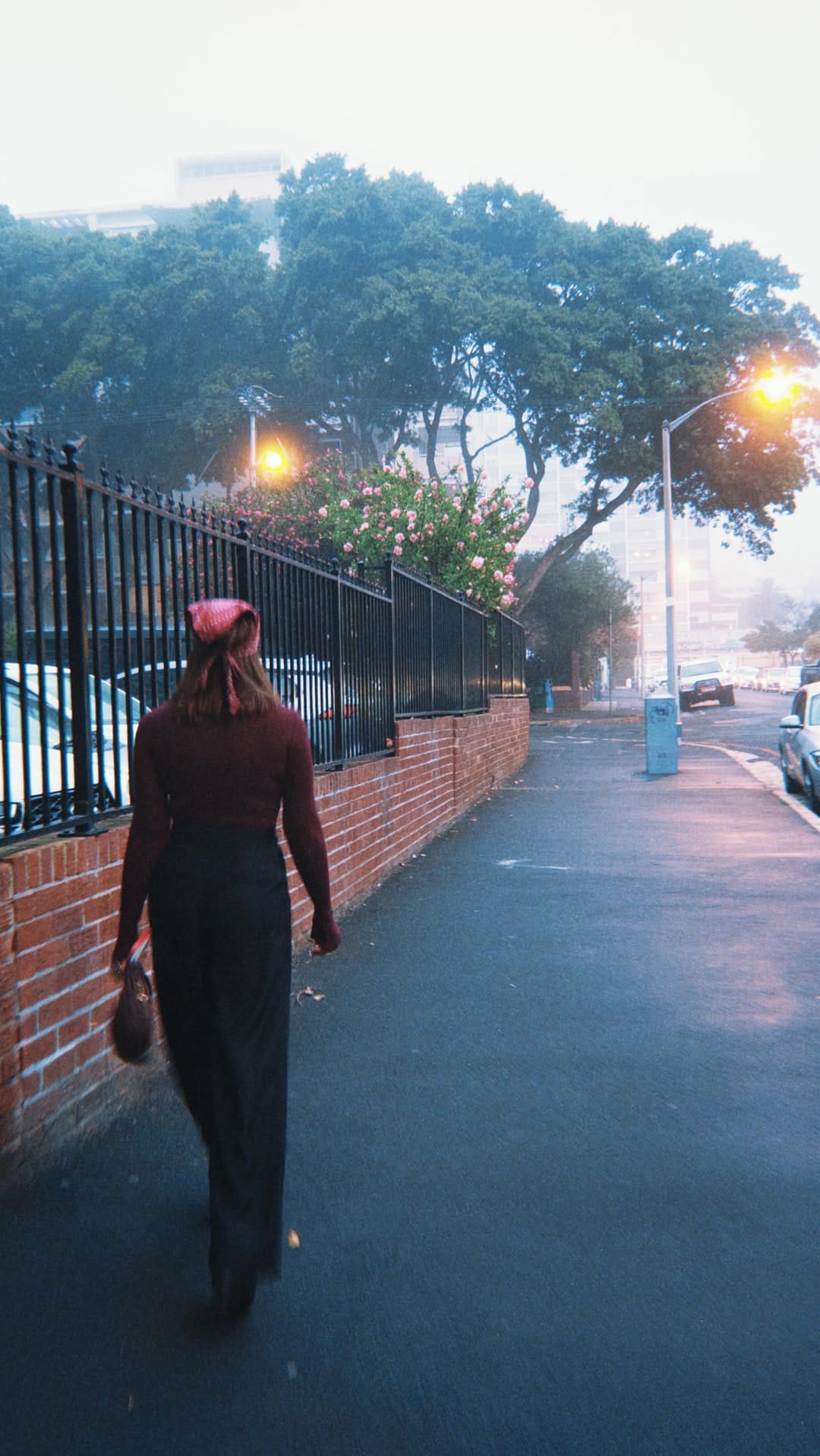 Post 2 by RANDA SHILBAYEH-WEISER on Instagram (video)