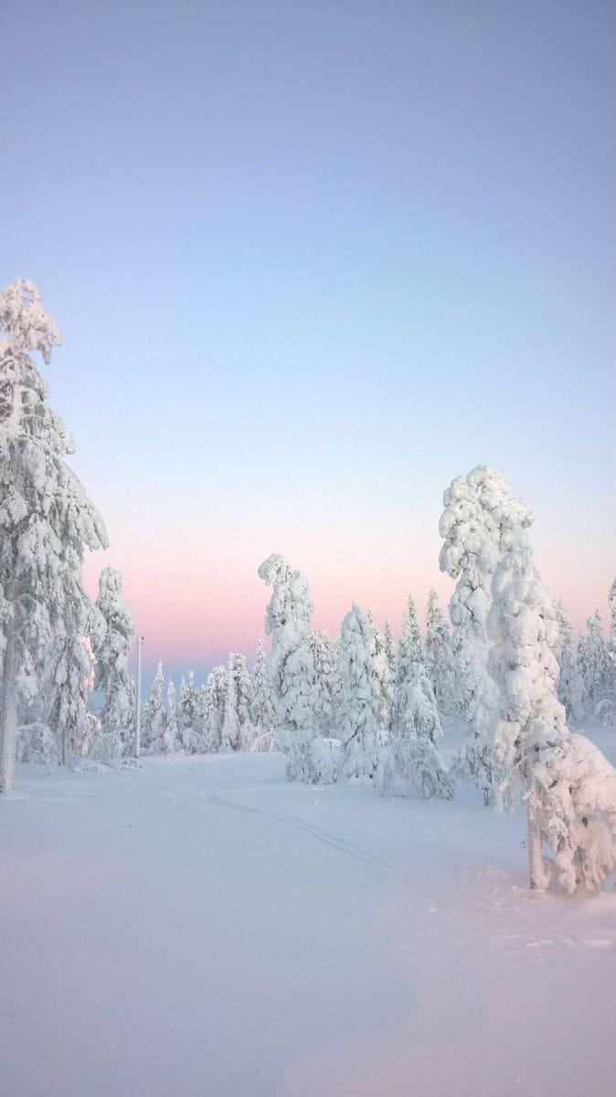 Post 2 by PAULA LEONIE on Instagram (video)
