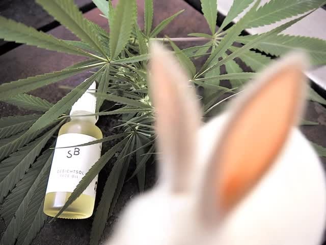 Post 9 by STUDIO BOTANIC on Instagram (video)