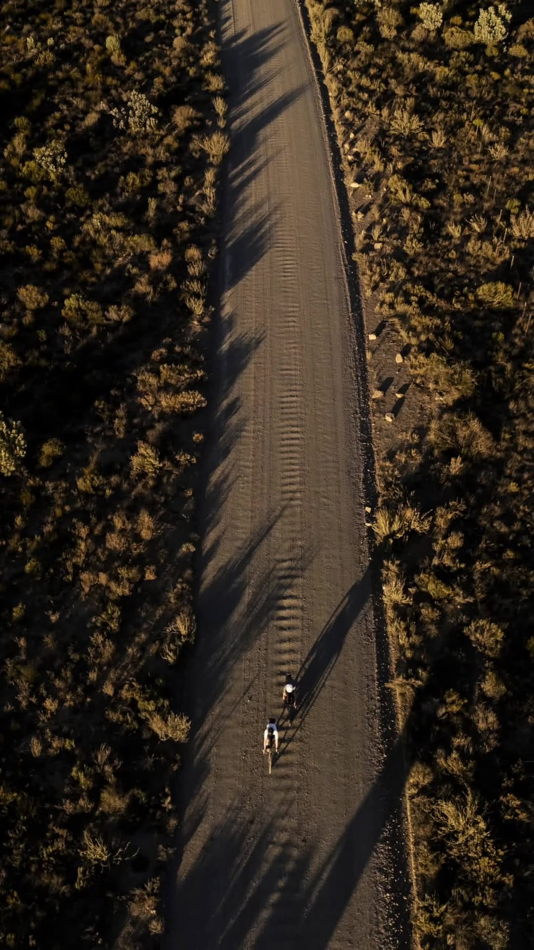 Post 2 by SQlab on Instagram (video)