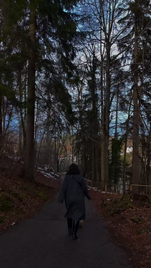 Post 6 by Ilef Hm 🌸| Lifestyle ✨l Motivational Speaker 🗣️ on Instagram (video)