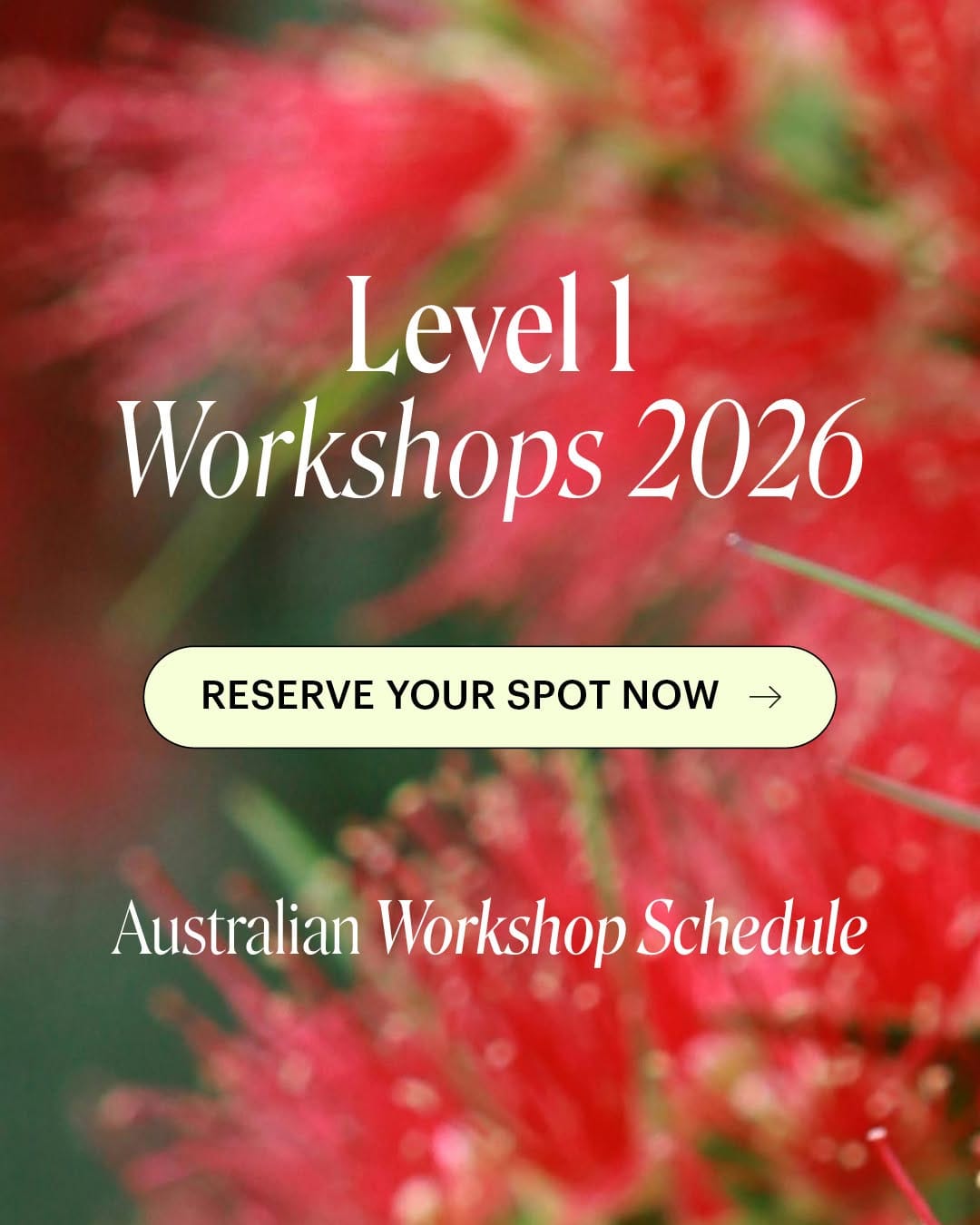 Post 6 by Aust Bush Flower Essences on Instagram (carousel)