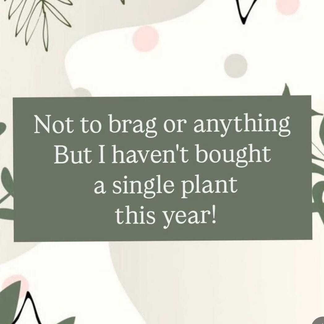 Post 1 by Inkling Scents on Instagram (image)