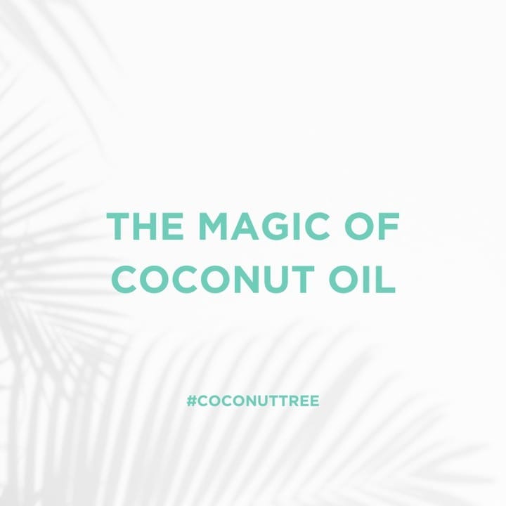 Post 2 by Coconut Tree® on Instagram (image)