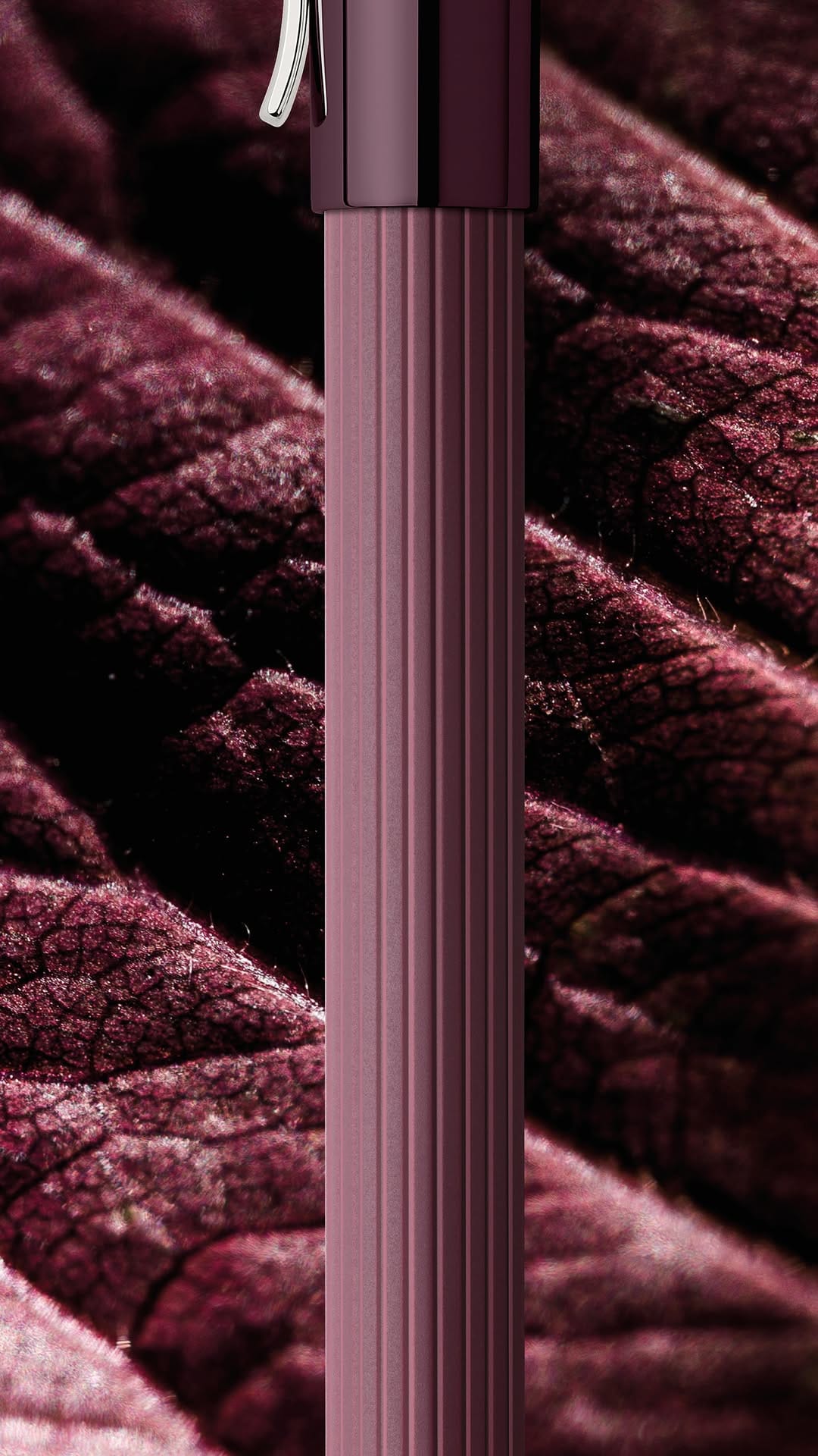 Post 5 by Graf von Faber-Castell on Instagram (video)