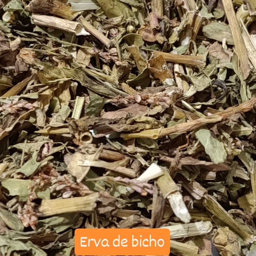 Post 6 by BODEGA BRASILEIRA on Instagram (image)