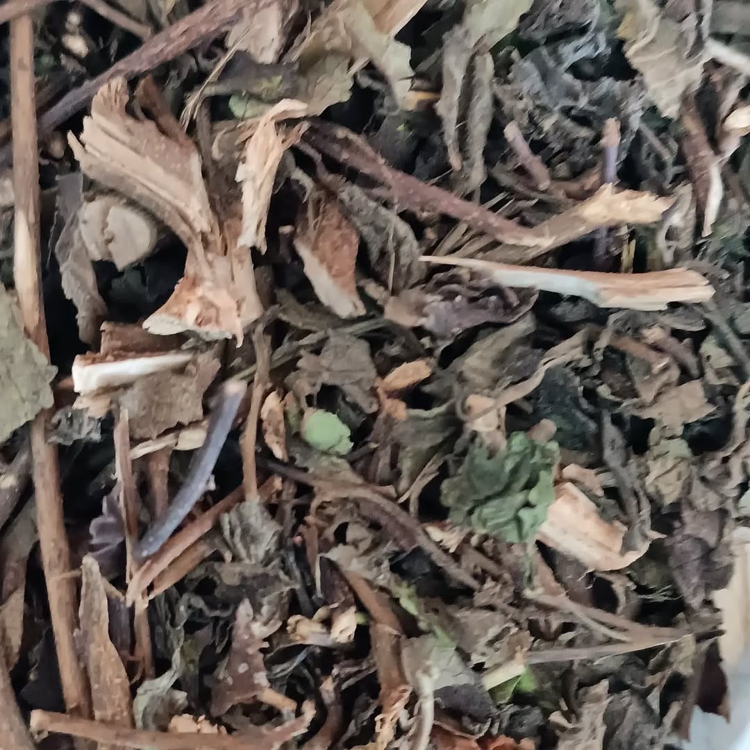 Post 9 by BODEGA BRASILEIRA on Instagram (image)