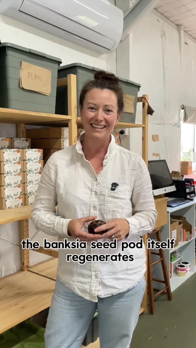 Post 10 by Aroma Diffuser on Instagram (video)
