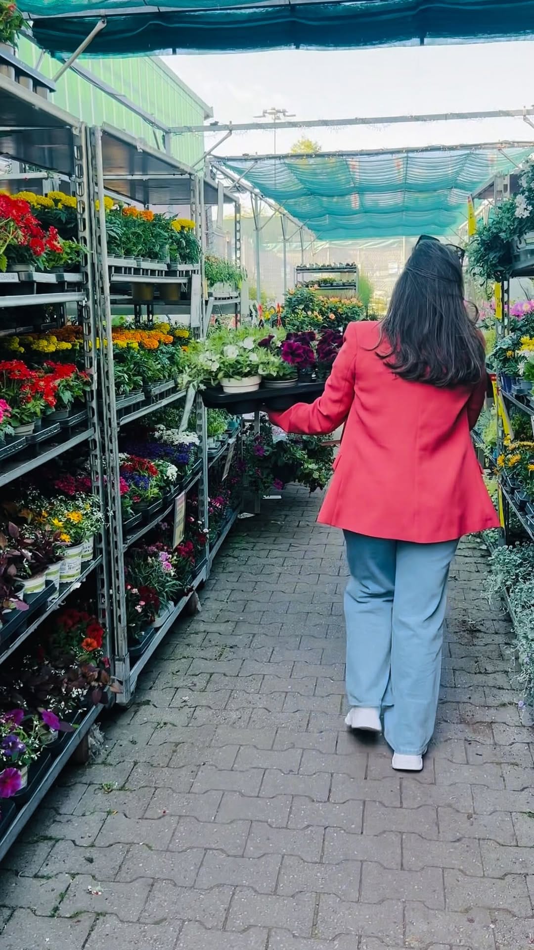 Post 9 by Walaa Talas on Instagram (video)