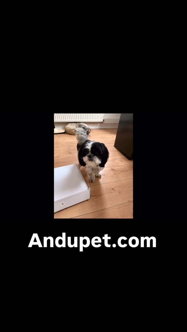 Post 6 by hhp Deutschland GmbH on Instagram (video)