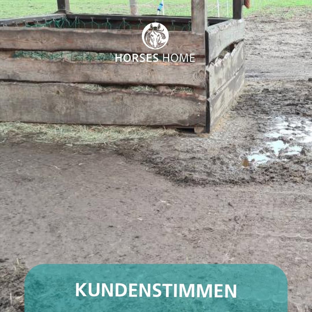 Post 3 by Horses Home INB® on Instagram (image)