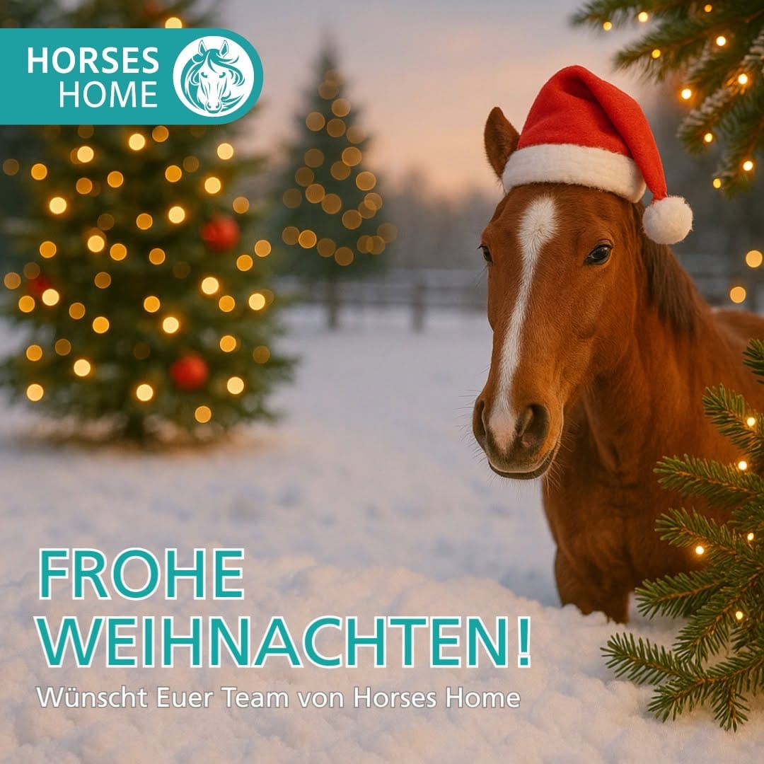Post 9 by Horses Home INB® on Instagram (image)