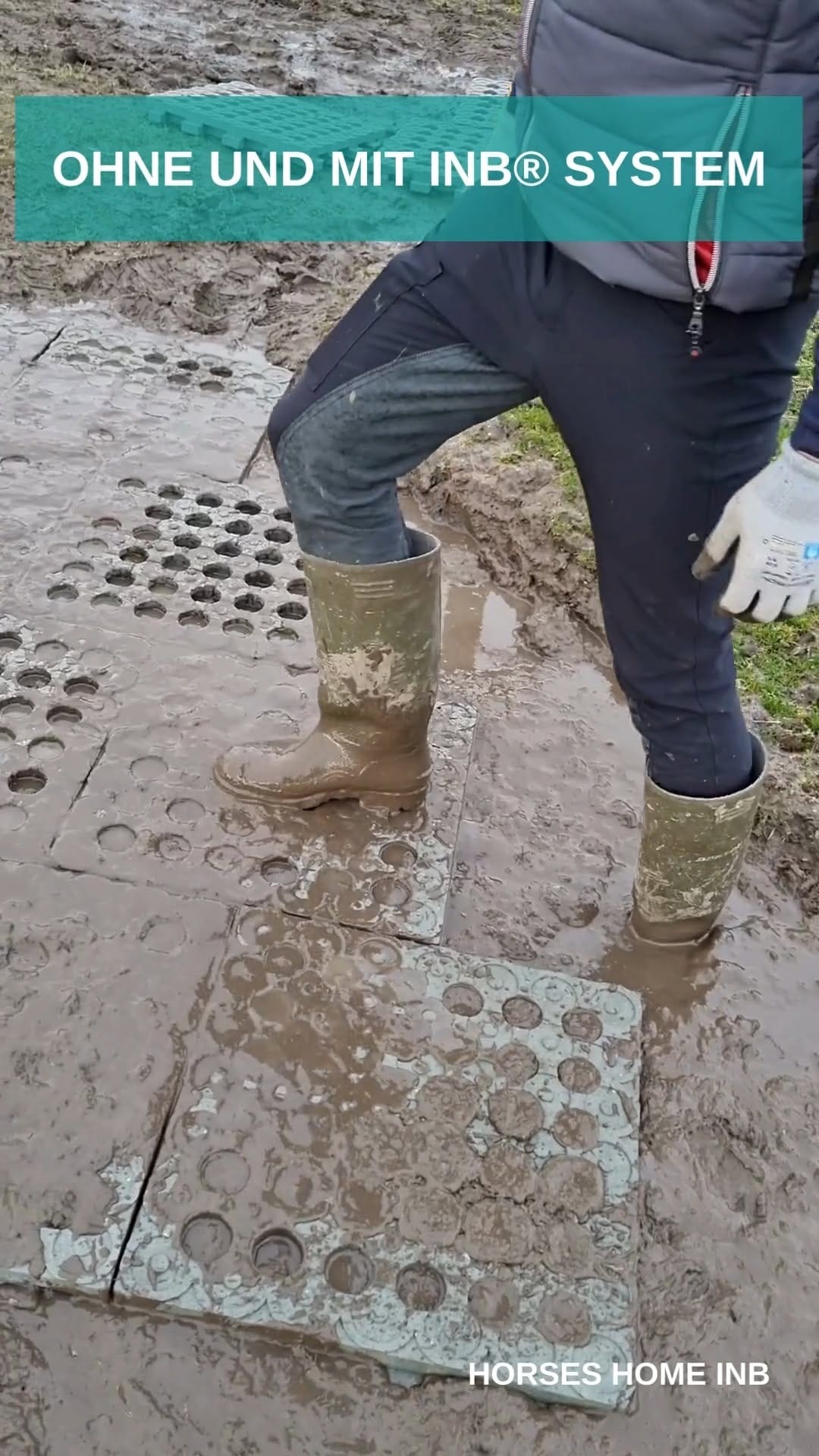 Post 10 by Horses Home INB® on Instagram (video)