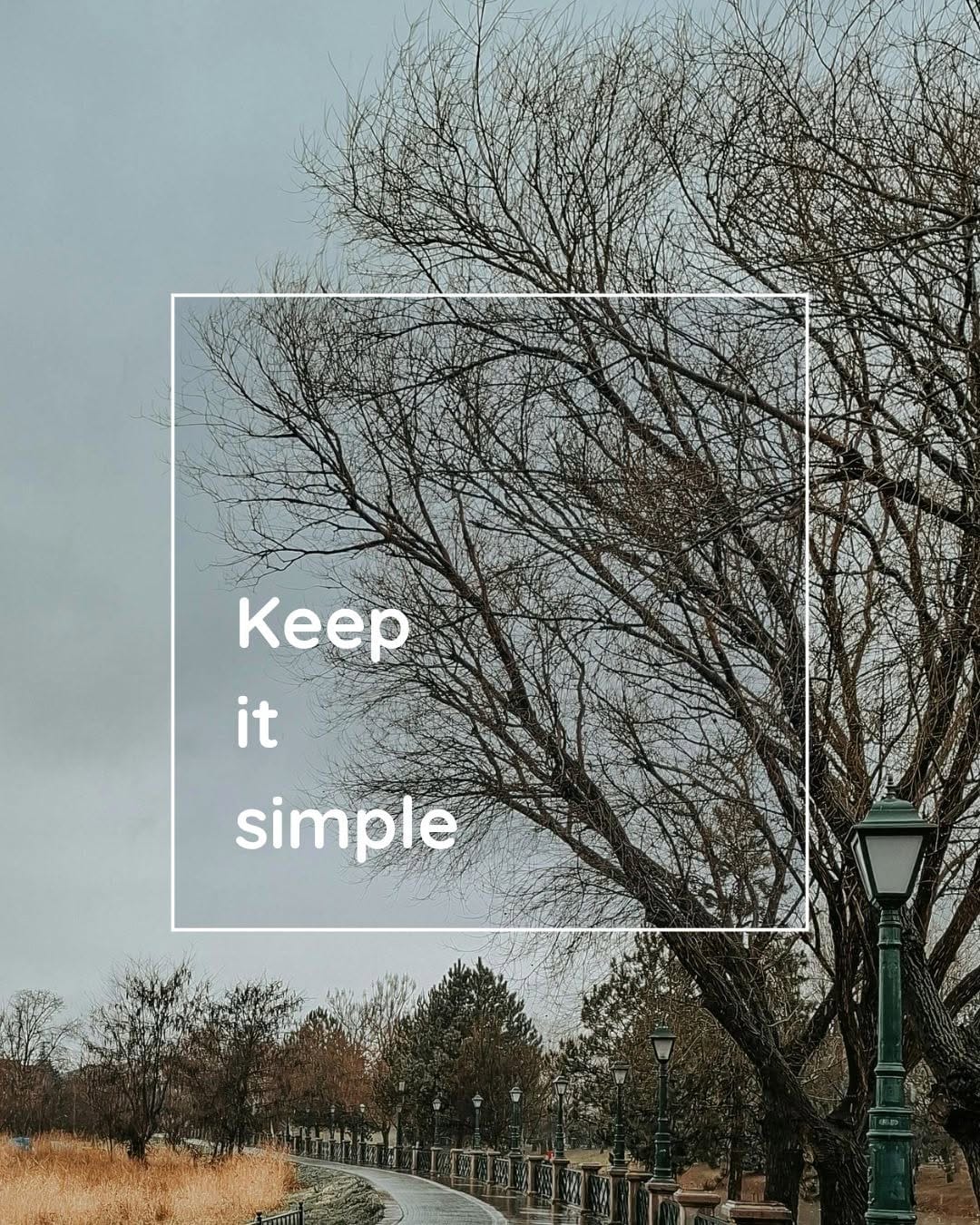 Post 1 by Naissance️🌿♻️🐰 on Instagram (image)