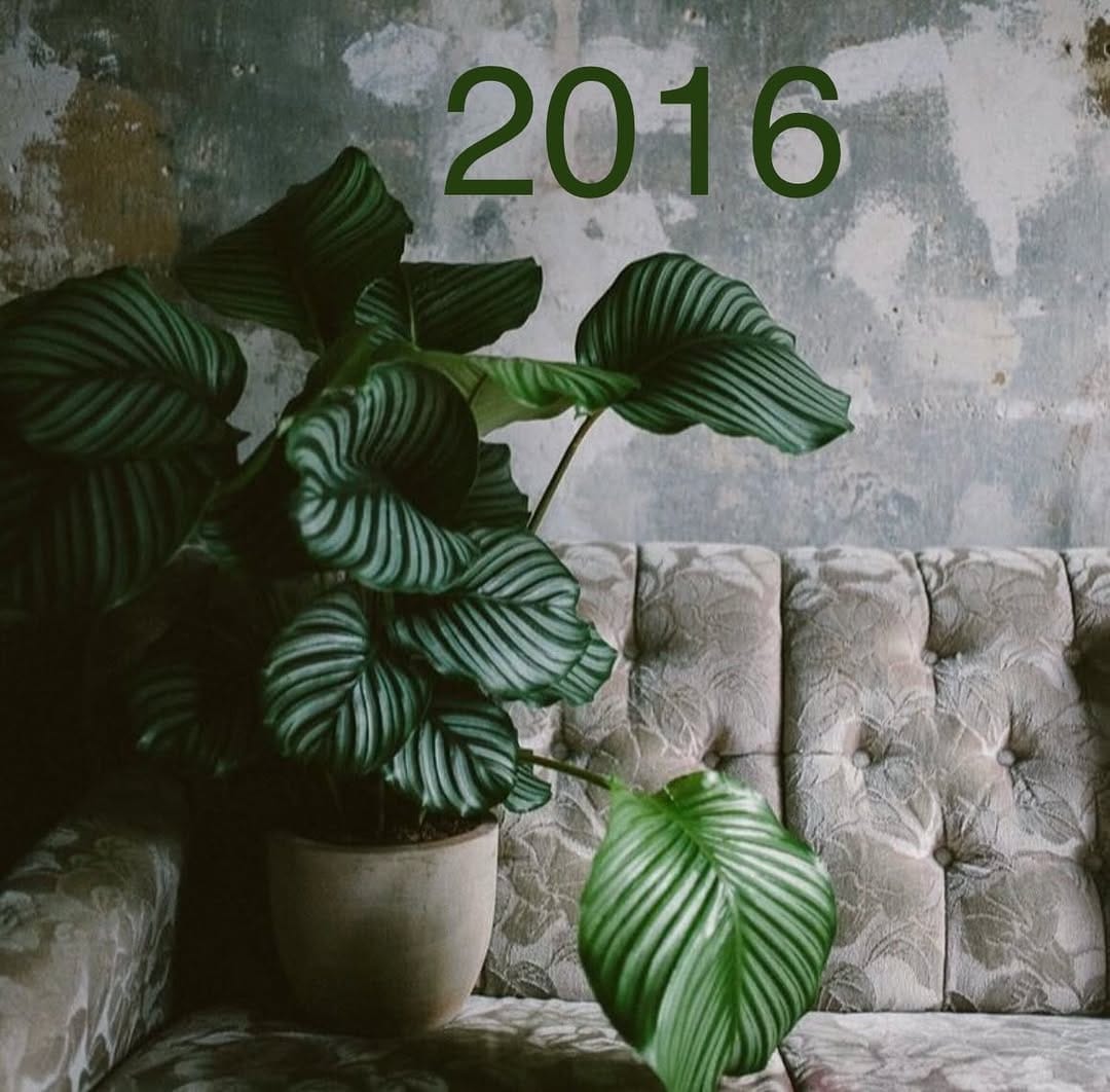 Post 9 by 24COLOURS. Berlin Fashion. on Instagram (carousel)