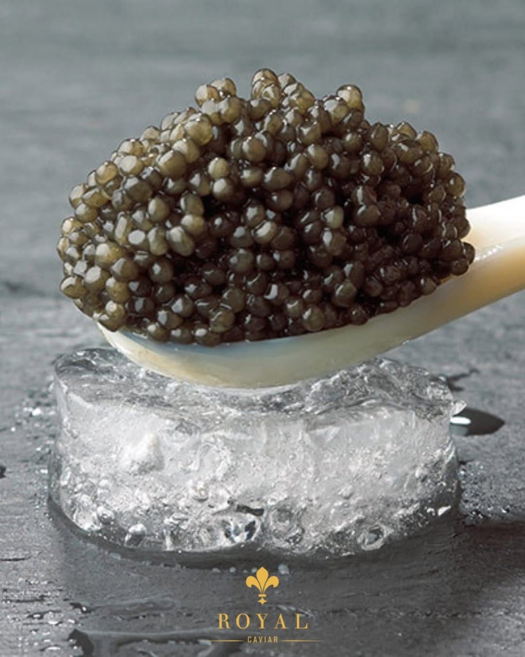 Post 6 by Royal Caviar Berlin on Instagram (image)