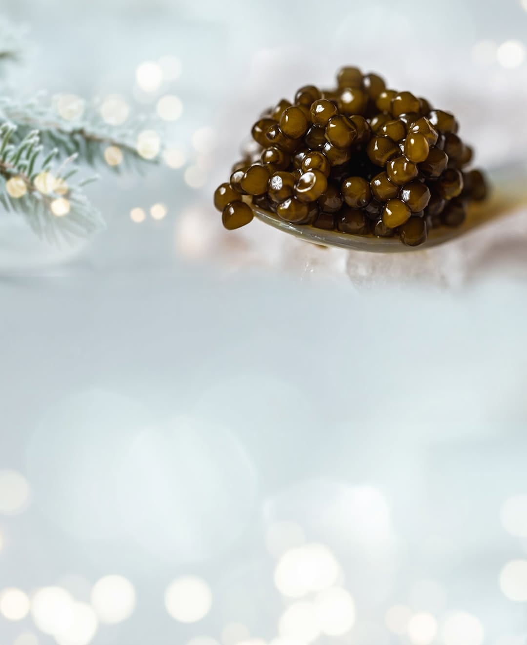 Post 2 by Royal Caviar Berlin on Instagram (image)