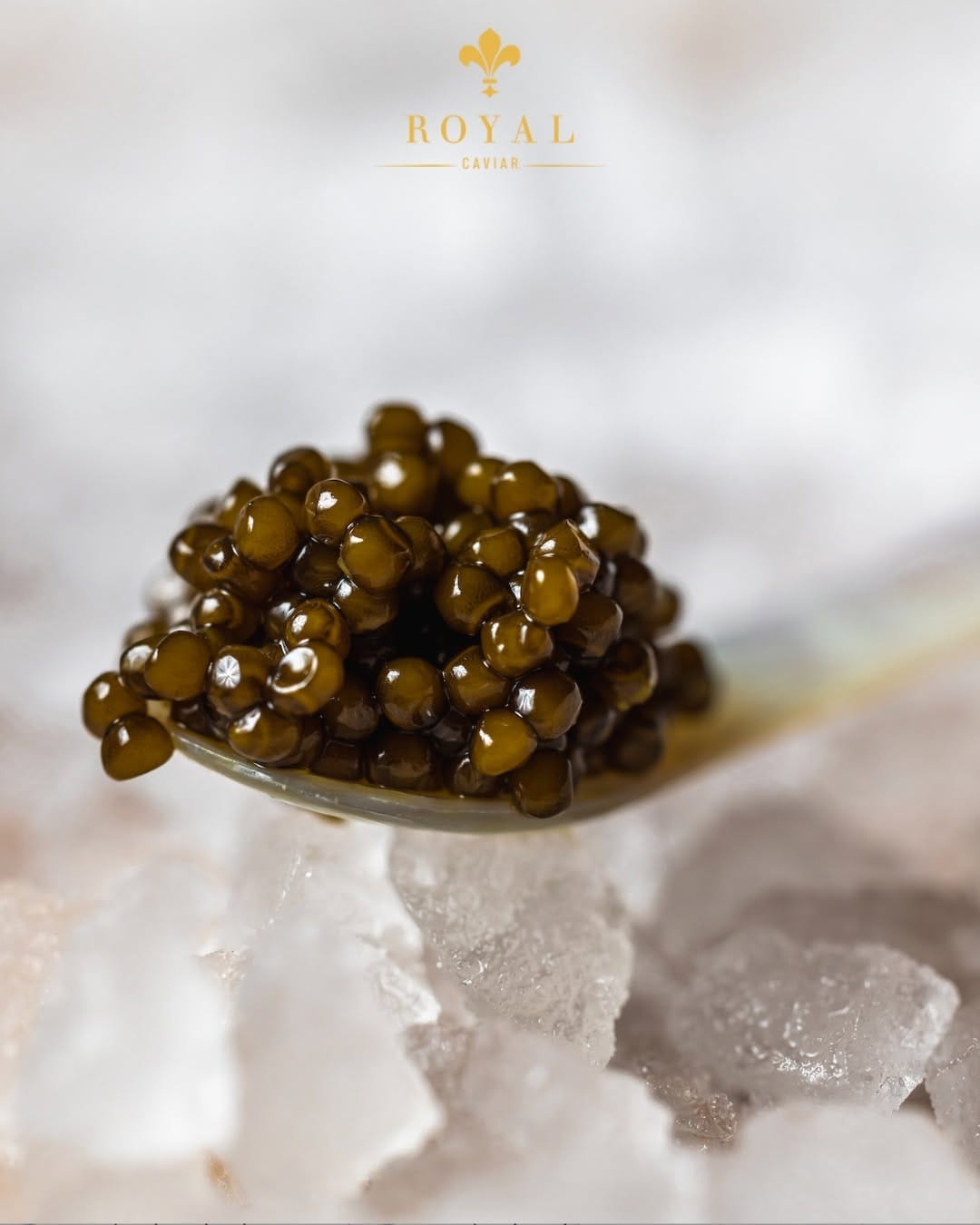 Post 10 by Royal Caviar Berlin on Instagram (image)