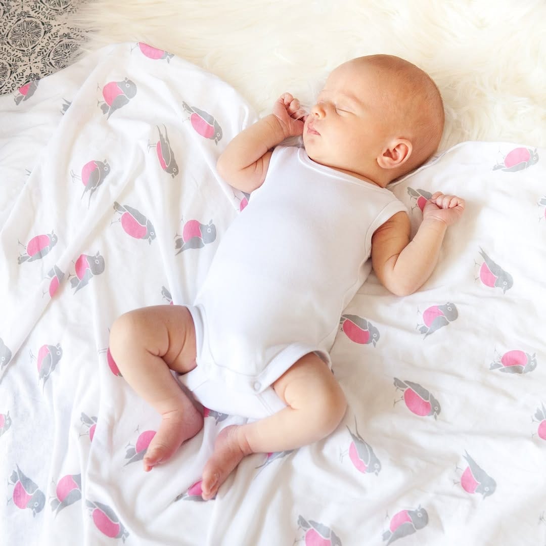 Post 2 by Nursing Covers & Swaddles on Instagram (image)