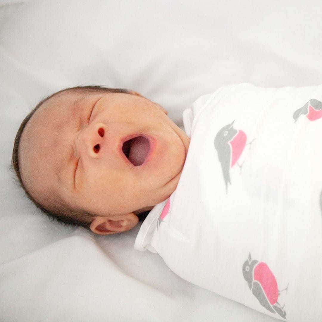 Post 6 by Nursing Covers & Swaddles on Instagram (image)