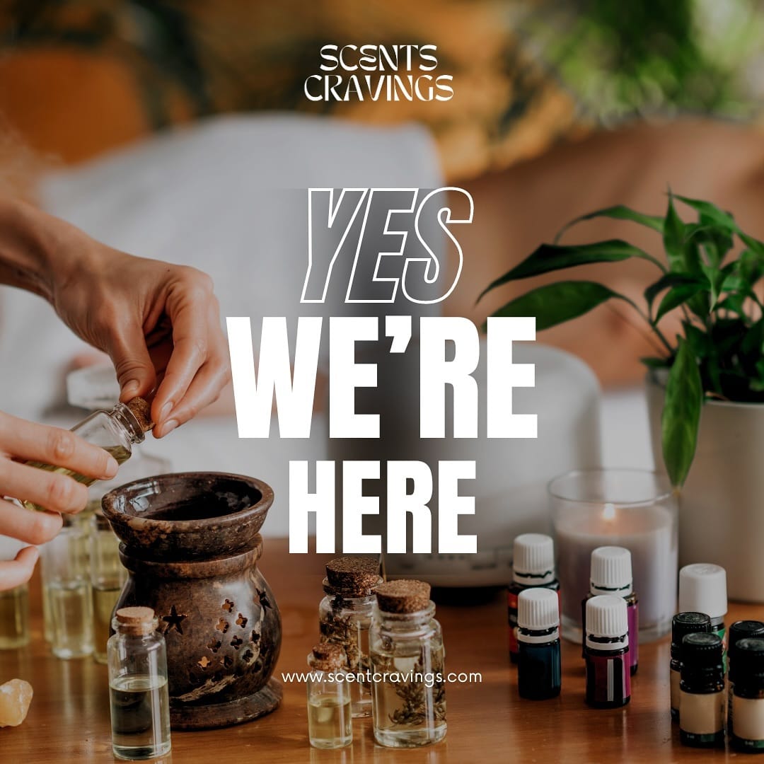 Post 4 by Scent cravings on Instagram (image)