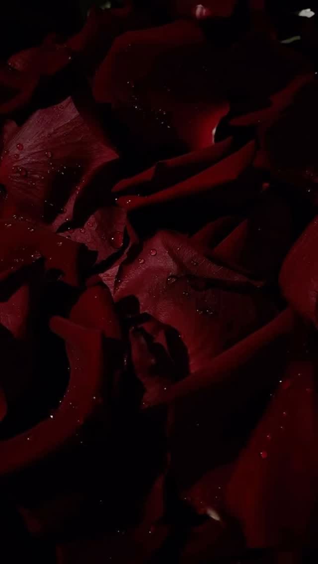 Post 6 by Ogardener India on Instagram (video)