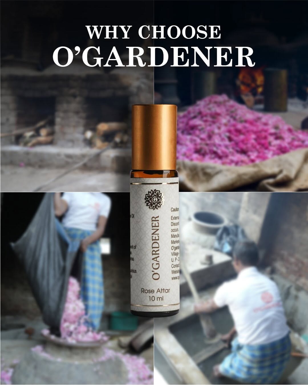 Post 4 by Ogardener India on Instagram (carousel)