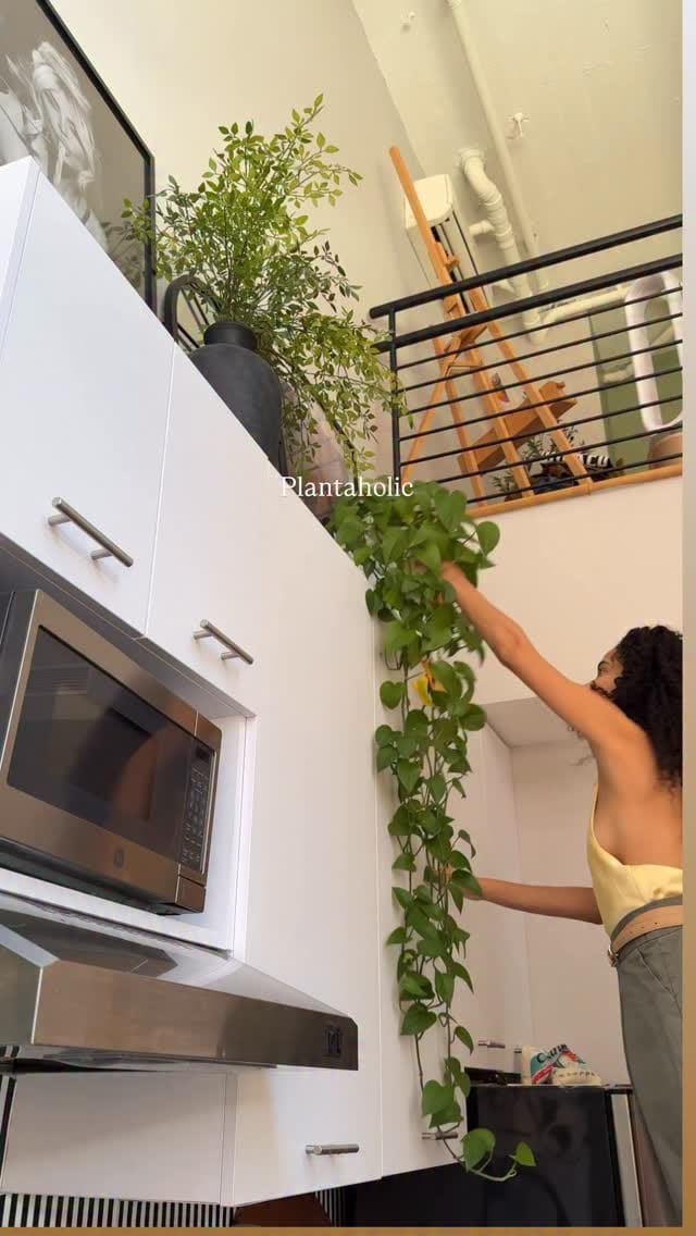 Post 6 by Celeste | Lifestyle Creator on Instagram (video)