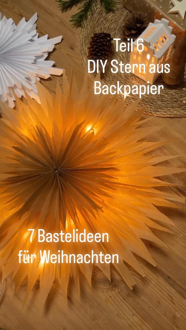 Post 9 by Dani | Hamburgdaniahoi |Wohnen|Pflanzen|Pudel|DIY|Balkon on Instagram (video)