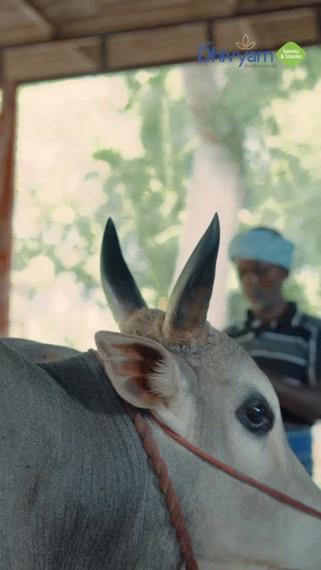 Post 1 by Shri Dhivyam on Instagram (video)