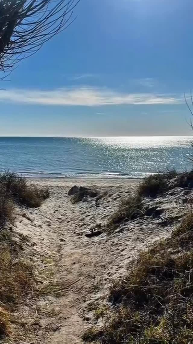 Post 7 by Stefan Wüster on Instagram (video)