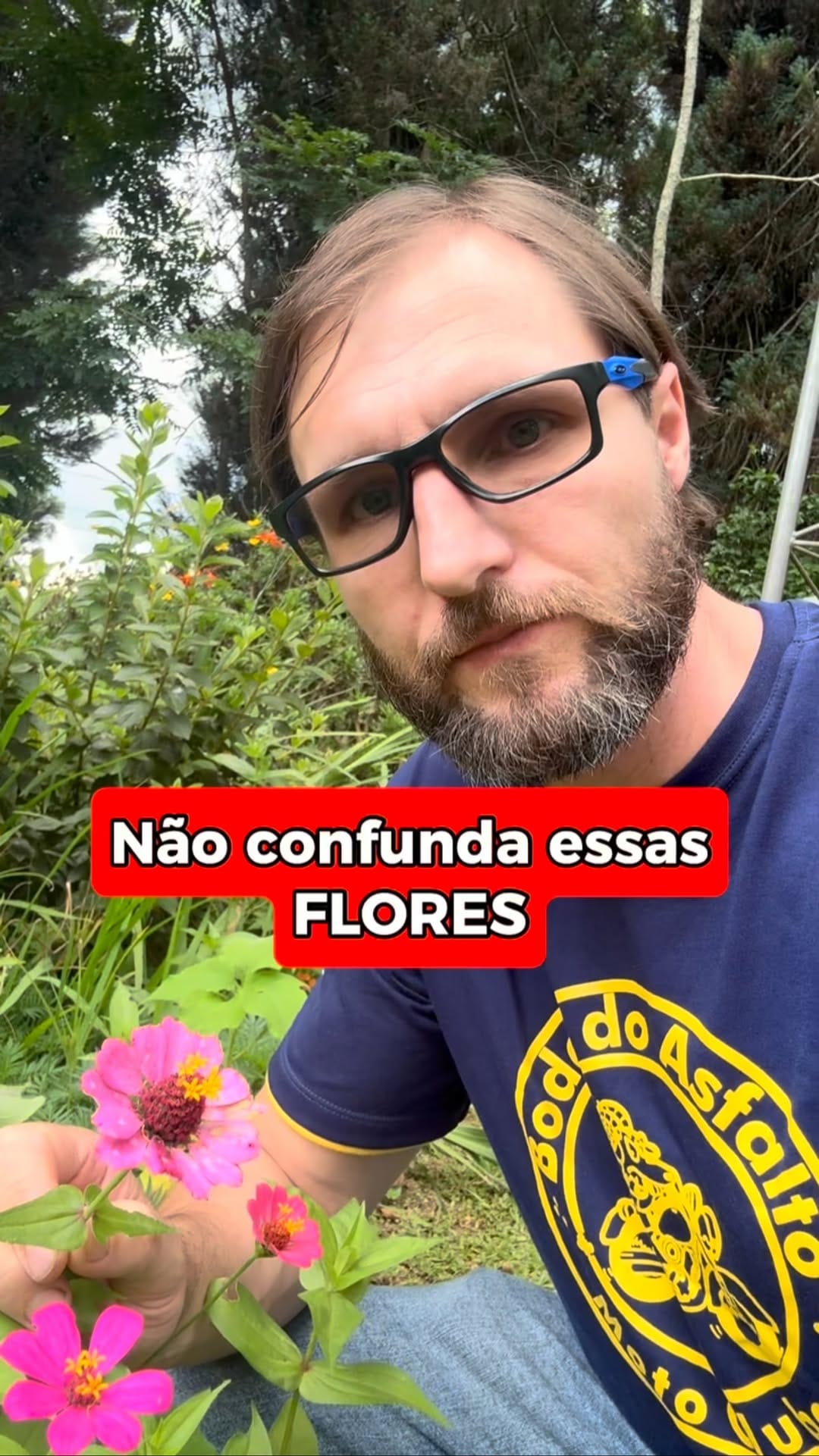 Post 10 by Julio Cesar Luchmann on Instagram (video)