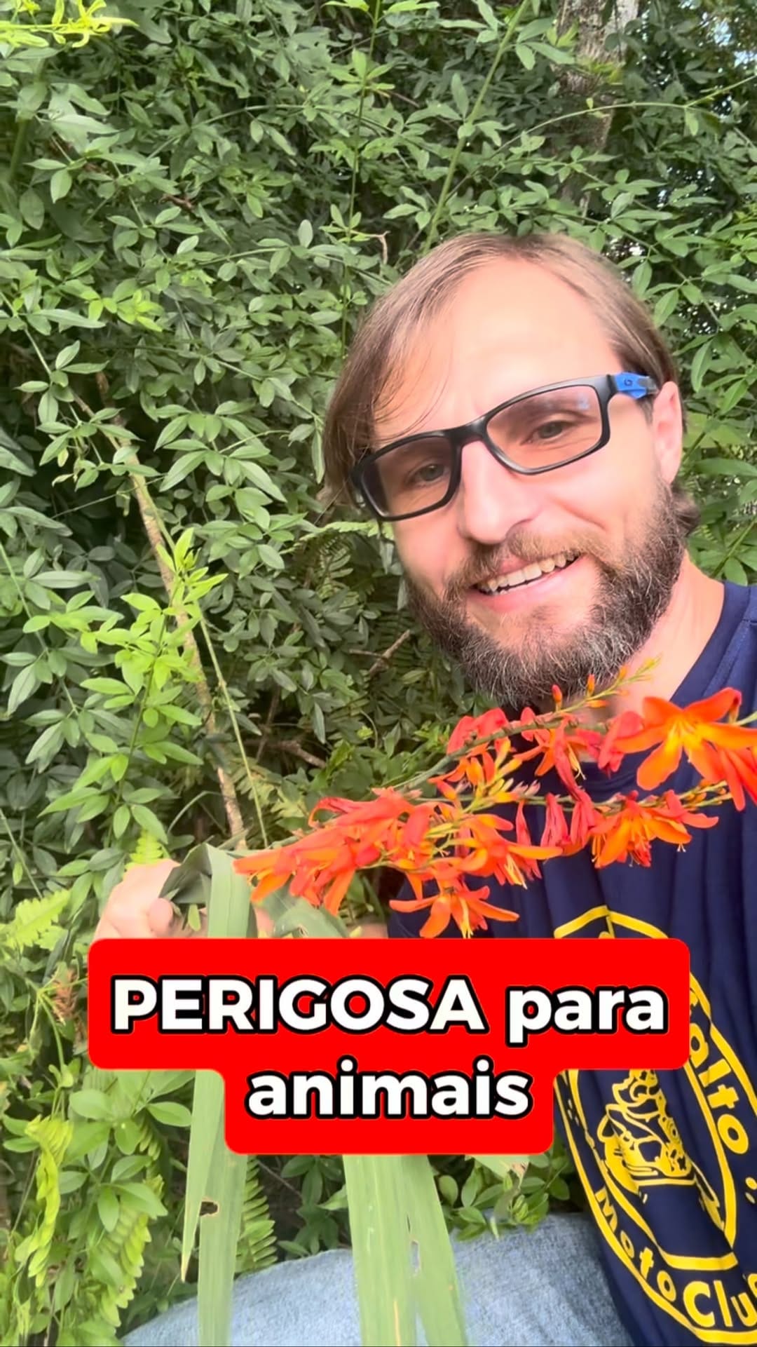 Post 8 by Julio Cesar Luchmann on Instagram (video)