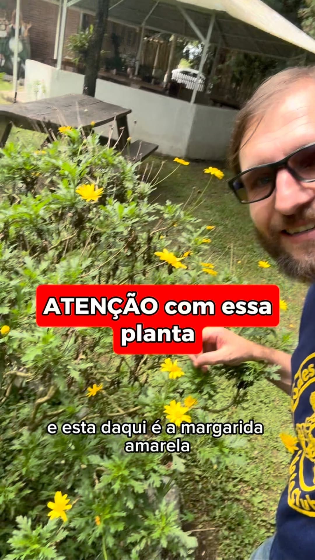 Post 9 by Julio Cesar Luchmann on Instagram (video)